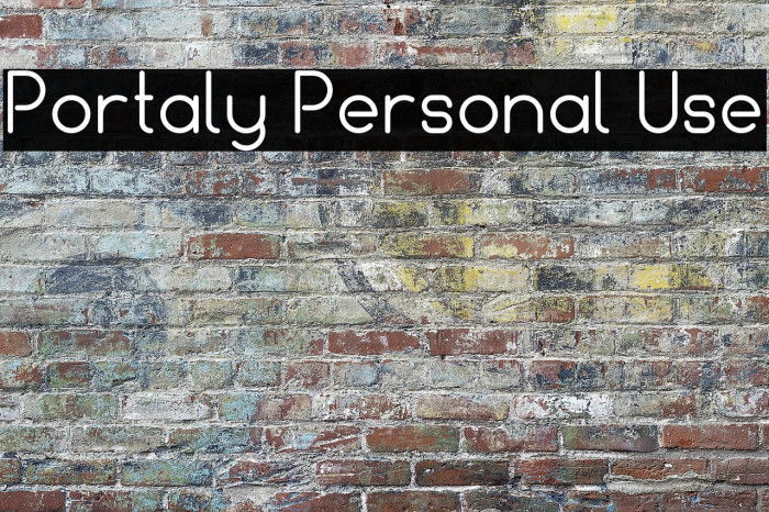 Portaly Personal Use Example 3