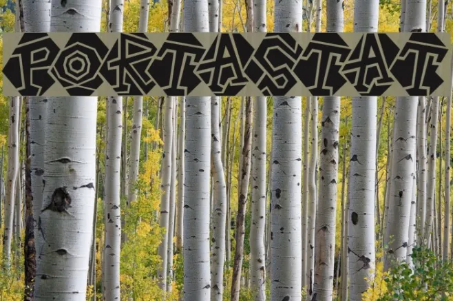 Portastat Example 1
