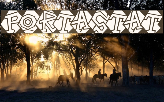 Portastat Font examples