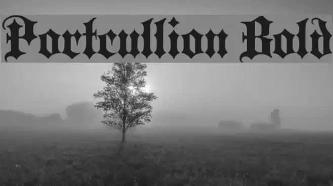 Portcullion Bold Font examples