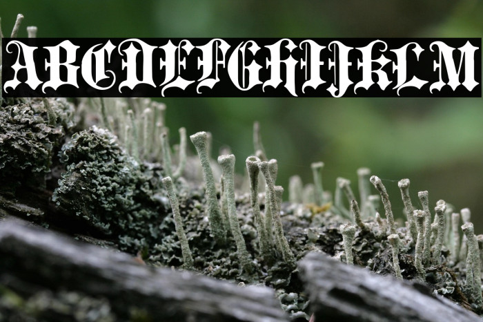 Portcullion Font examples