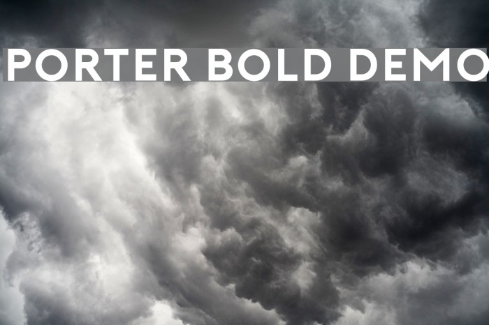 Porter Bold DEMO Font examples