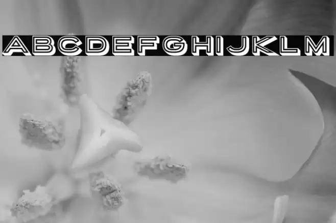 PorterSansBlock Font examples