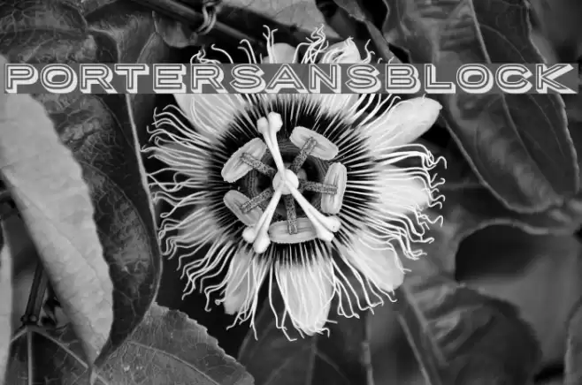 PorterSansBlock Font examples