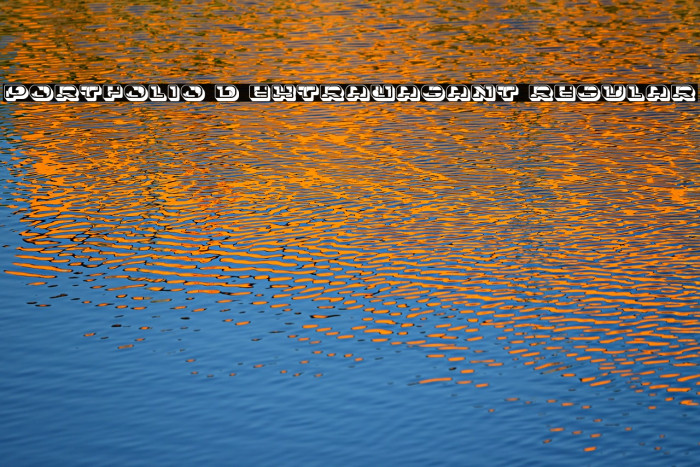 Portfolio 3D Extravagant Regular Font examples