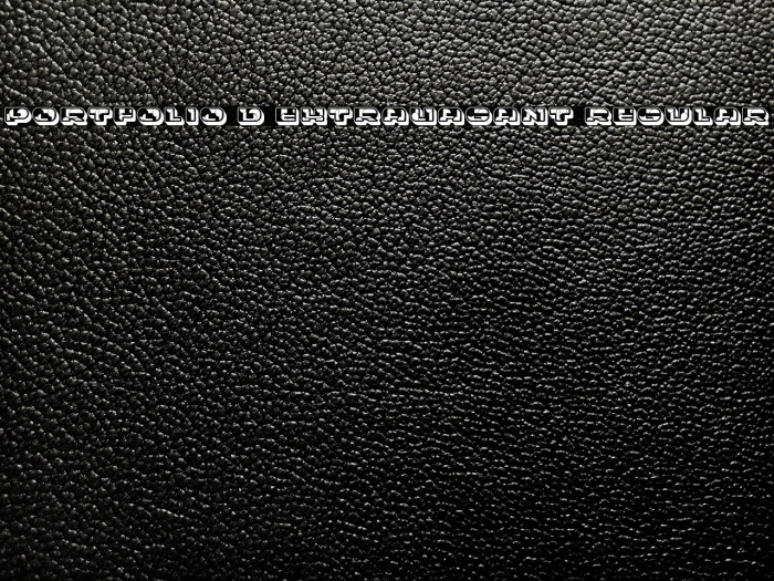 Portfolio 3D Extravagant Regular Font examples