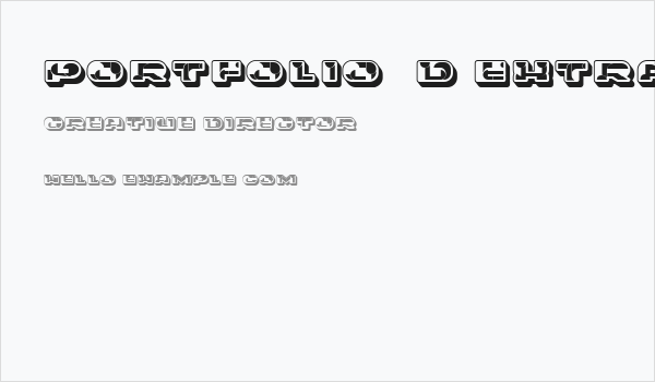 Portfolio 3D Extravagant Regular Business Card