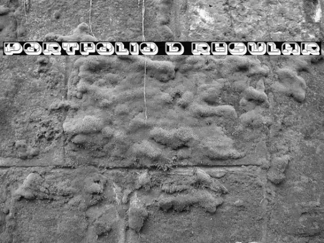 Portfolio 3D Regular Font examples