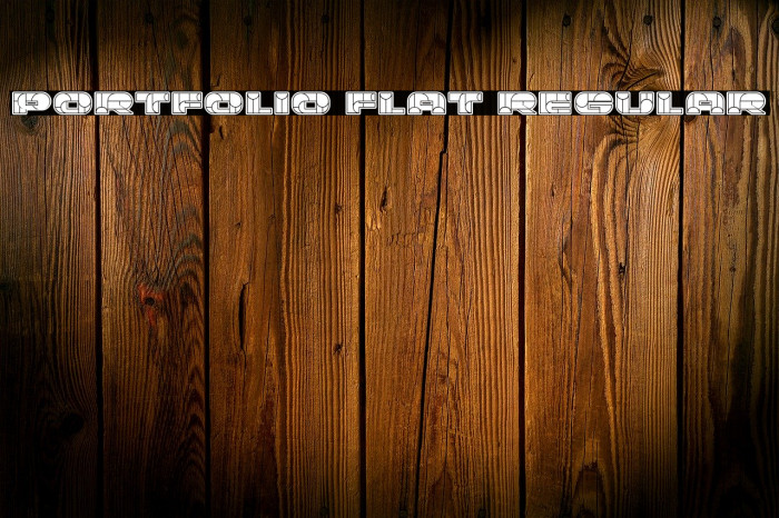 Portfolio Flat Regular Example 1