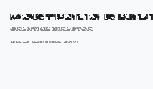 Portfolio Regular Business Card