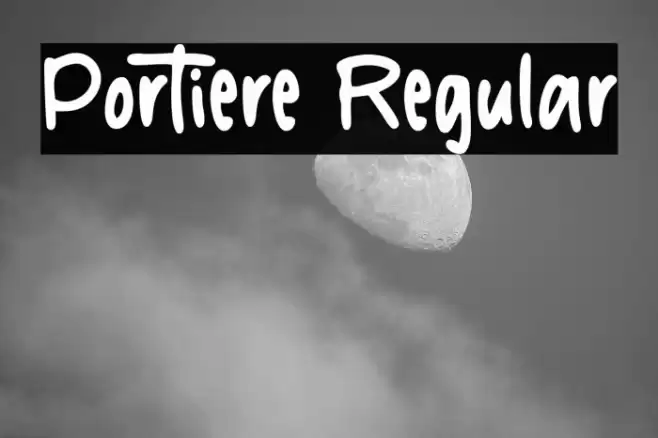 Portiere Regular Шрифта examples