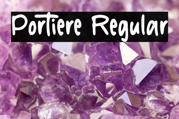 Portiere Regular Example 2