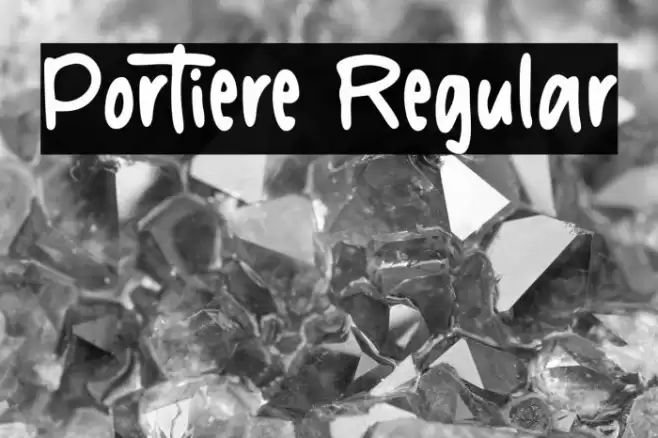 Portiere Regular Шрифта examples
