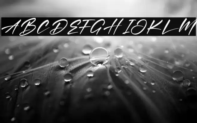 Portillo Bryant Font examples