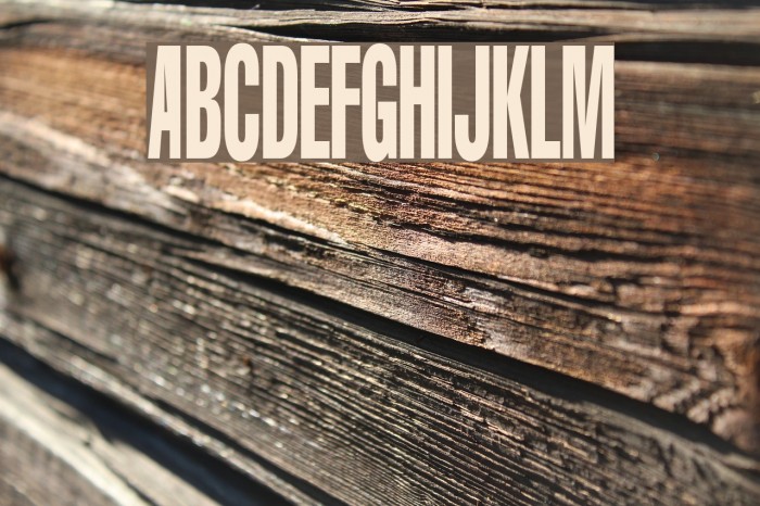 Portishead Dummy Font examples