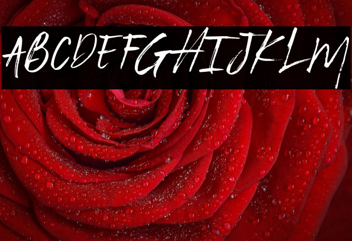 Portlame Demo Example 1