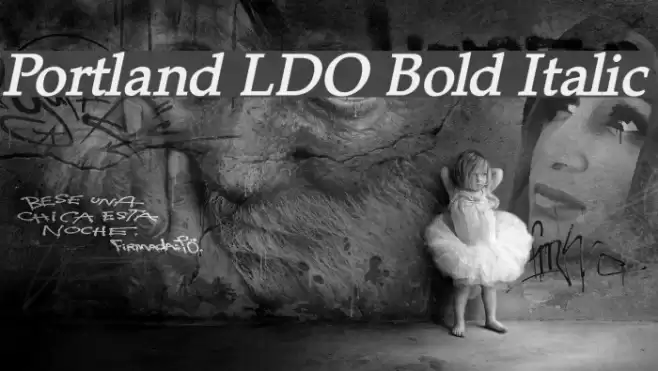 Portland LDO Bold Italic Font examples
