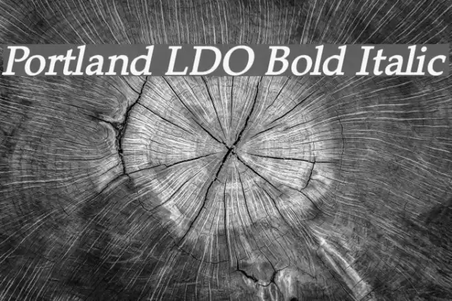 Portland LDO Bold Italic Font examples