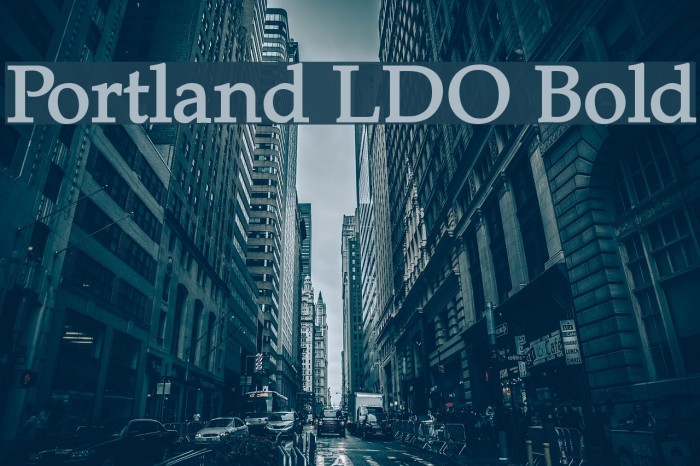 Portland LDO Bold Example 1