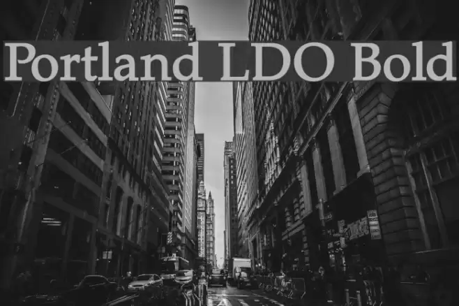 Portland LDO Bold Font examples