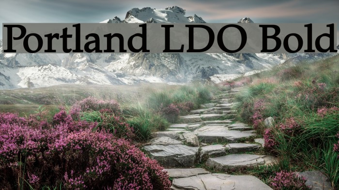 Portland LDO Bold Example 3