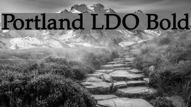 Portland LDO Bold Font examples