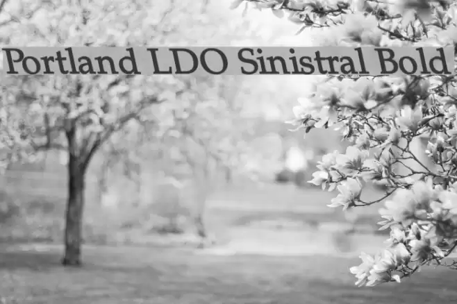 Portland LDO Sinistral Bold Font examples