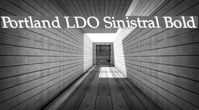 Portland LDO Sinistral Bold Font examples