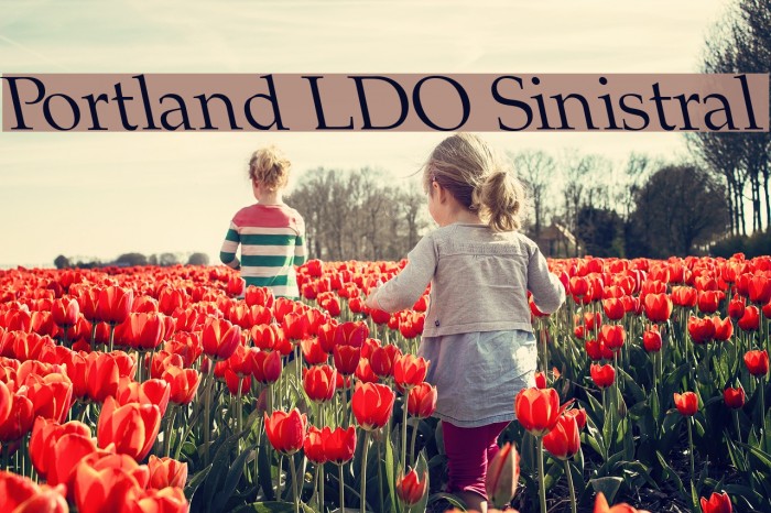 Portland LDO Sinistral Font examples