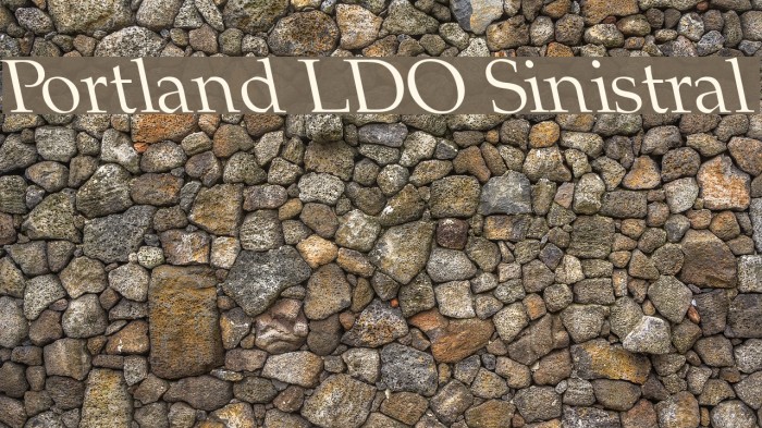 Portland LDO Sinistral Font examples