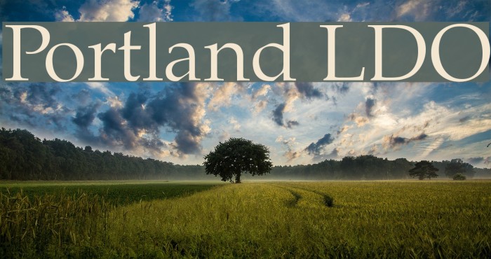 Portland LDO Font examples