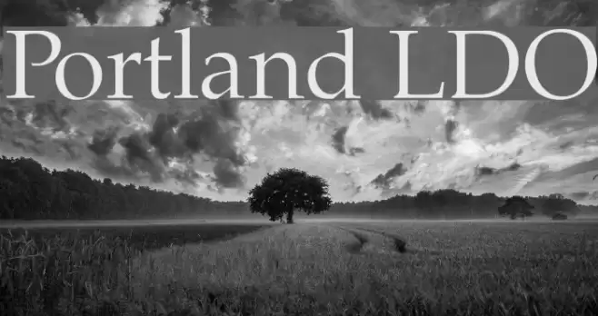 Portland LDO  examples