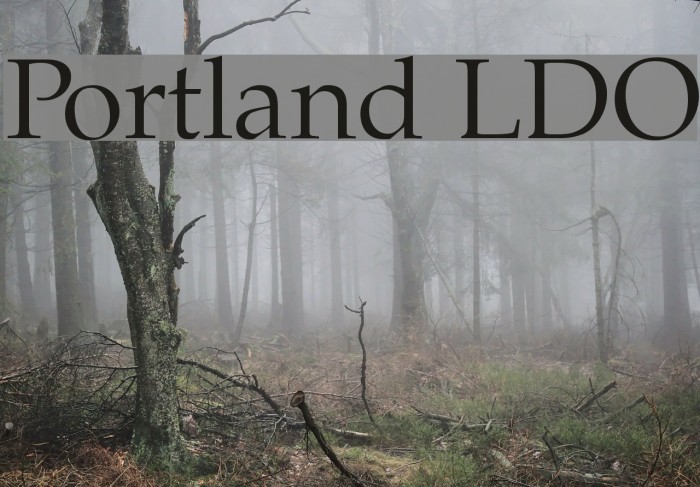 Portland LDO Font examples