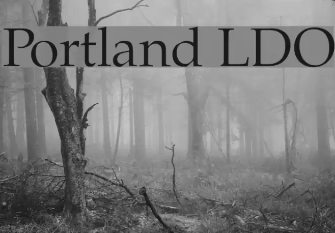 Portland LDO  examples