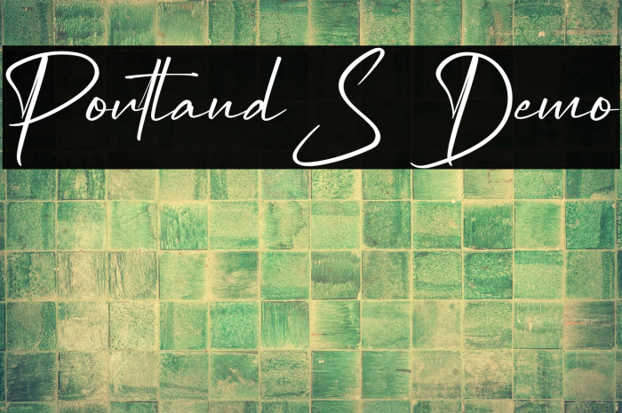 Portland S Demo Example 1