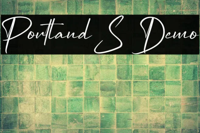 Portland S Demo Example 1