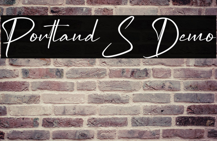 Portland S Demo Example 3