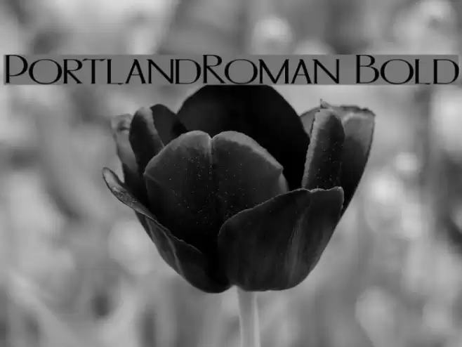 PortlandRoman Bold Font examples