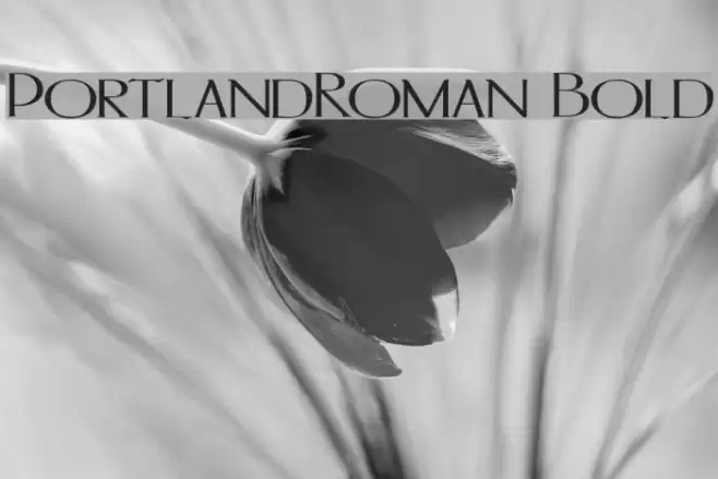 PortlandRoman Bold Font examples