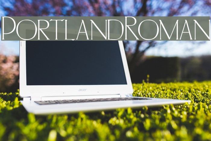 PortlandRoman Polices examples