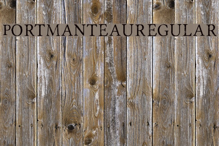 Portmanteau-Regular Font examples