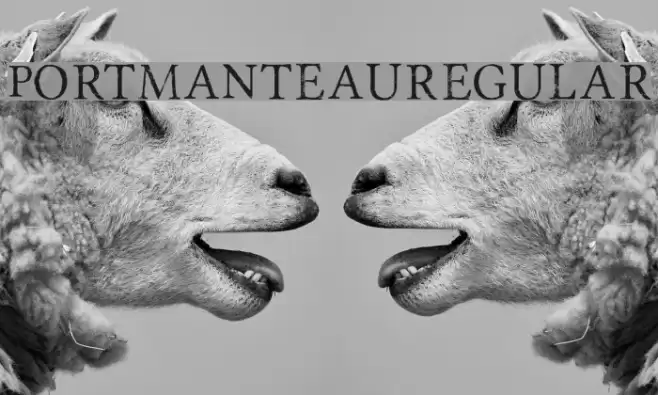 Portmanteau-Regular Font examples