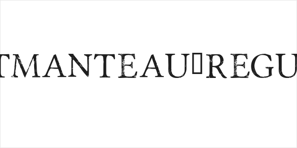Portmanteau-Regular Logo