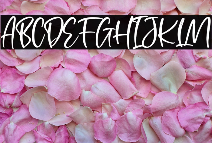 Portofolio Brilliant Example 1