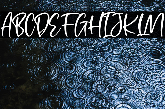 Portofolio Brilliant Example 2