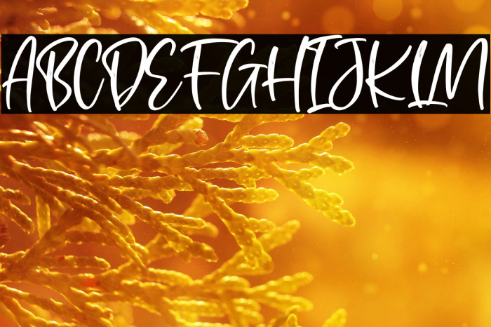 Portofolio Brilliant Example 3