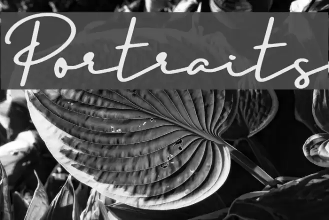 Portraits Font examples
