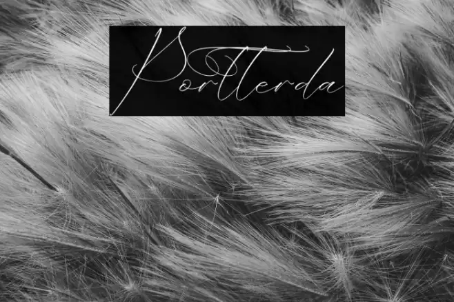 Portterda Font examples