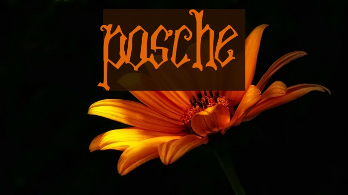 Posche Font examples