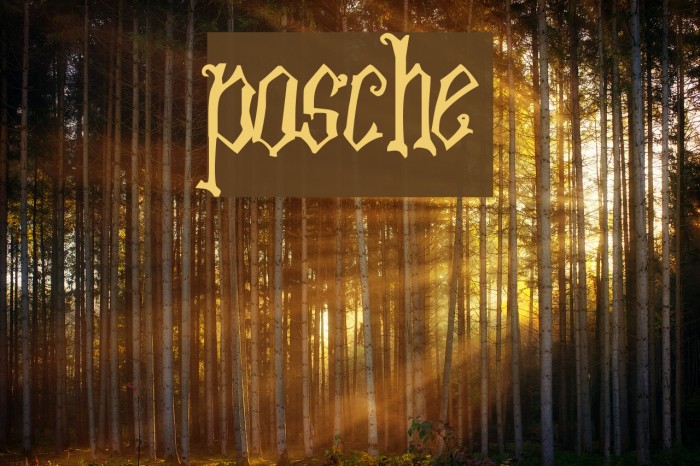 Posche Font examples